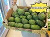 牛油果（大个） 商品缩略图0