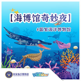 《天津海博奇妙夜》丰台教委项目专拍