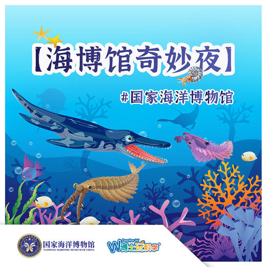 《天津海博奇妙夜》丰台教委项目专拍 商品图0