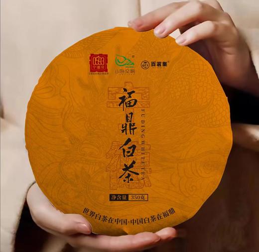 福鼎白茶2018年贡眉 商品图0