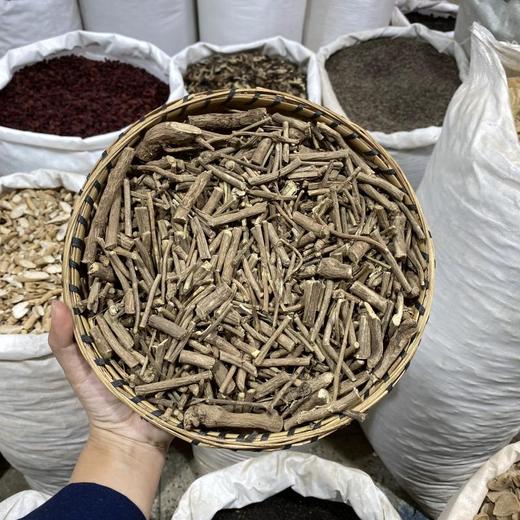 南木香 商品图0