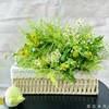 【氧气】油画小菊2支+黄莺6支+绿灵草2支+洋甘菊2支（提拉米苏设计） 商品缩略图7