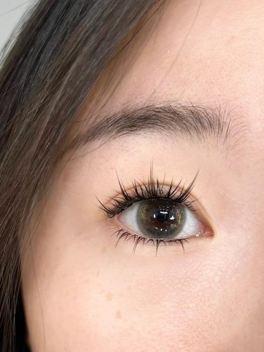 Jellydoll 日抛 金箔灰 14.2mm 黑灰色 一盒十片 有月抛 商品图4