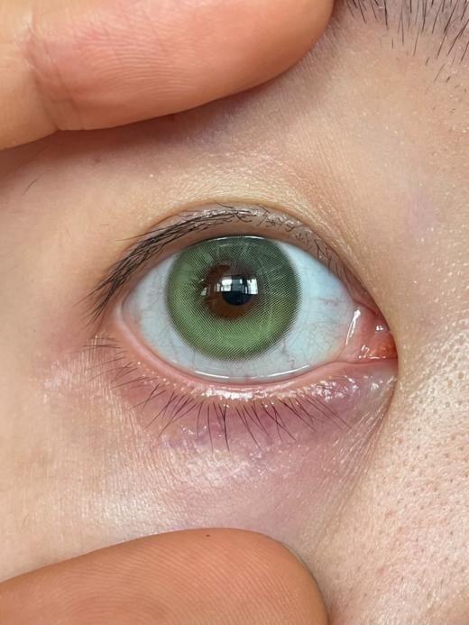 woolilens半年抛 修狗汪汪/青蛙呱呱 14.2mm 棕/绿 拍下即为一副两片 商品图8