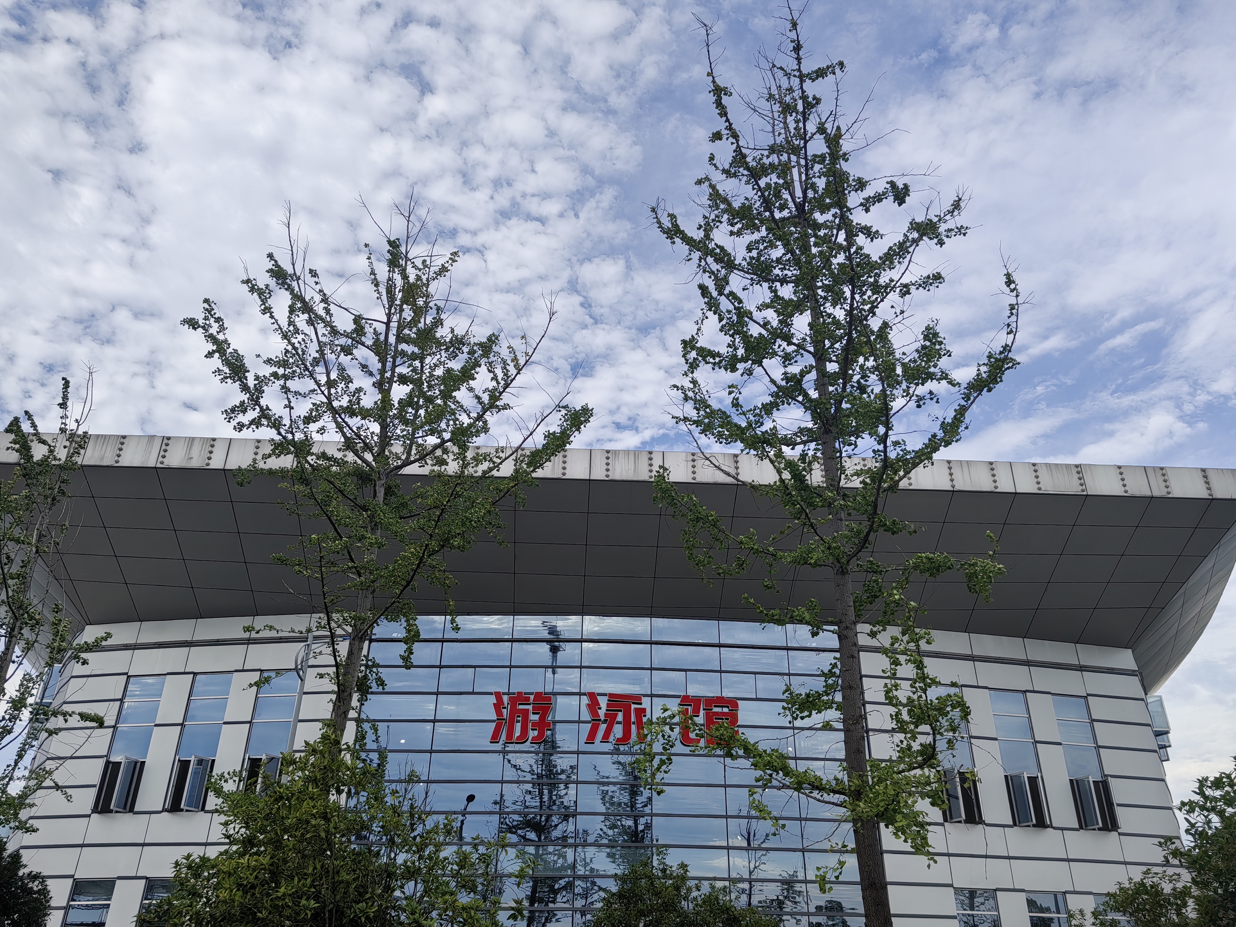 枝江市青少年暑期防溺水游泳培训（枝江市文体中心游泳馆）