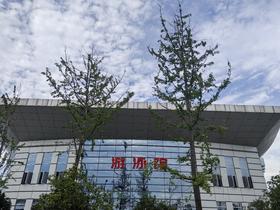 枝江市青少年暑期防溺水游泳培训（枝江市文体中心游泳馆）