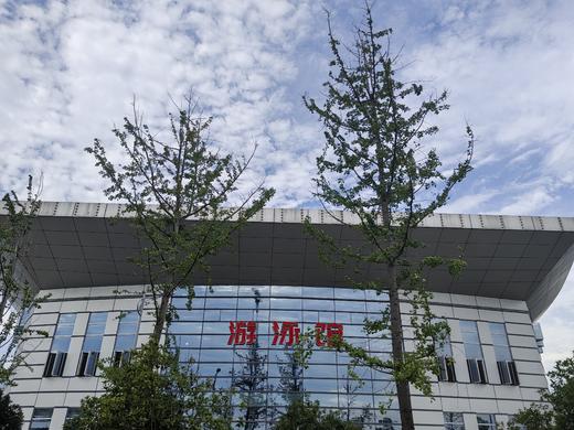 枝江市青少年暑期防溺水游泳培训（枝江市文体中心游泳馆） 商品图0