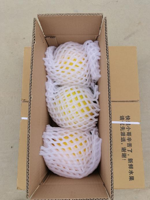 民勤金红宝沙漠蜜瓜 清甜脆爽 多汁如蜜 瓜香浓郁 商品图8