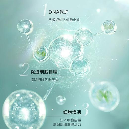 【269元会员福利】养生堂天然桦树汁补水保湿液150ml清爽型送保湿面膜24ml2片   商品图1