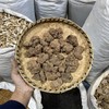 朱砂莲 商品缩略图0