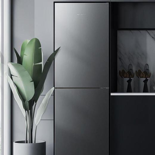 广电优选 美菱BCD-206WEC 206升双门家用冰箱 商品图3