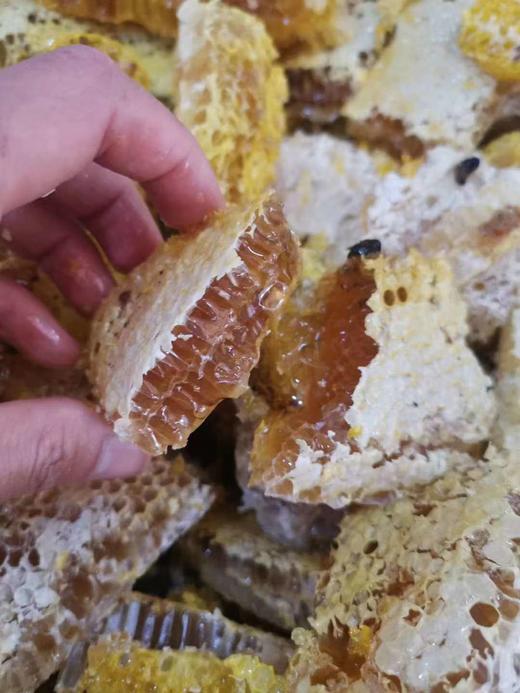 【雪康食品】蜂巢百花蜜500g/瓶 商品图7