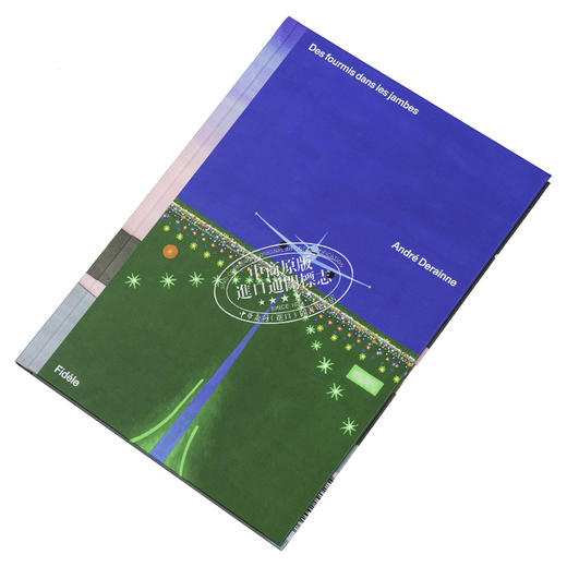 【中商原版】【法文版】两腿发麻 Des fourmis dans les jambes 法文原版 André Derainne 法文绘本 商品图2