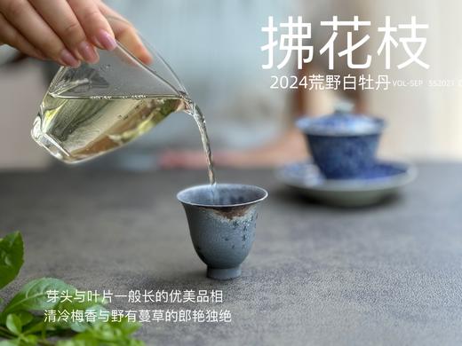 【2024春茶来了】2024荒野白牡丹《拂花枝》，低配的“荒野牡丹王”，清雅的梅花香，配上野有蔓草之味，冷艳绝伦 商品图10