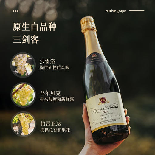 【卡瓦名家·荣誉出品】西班牙瑞雪CAVA天然半干型起泡酒 法定产区DO级 11.5%VOL 商品图3
