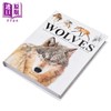 【中商原版】迷你百科系列 狼 Wolves 英文原版 Tom Jackson 自然科学 动物百科 科普与科学通识 科学百科 商品缩略图1