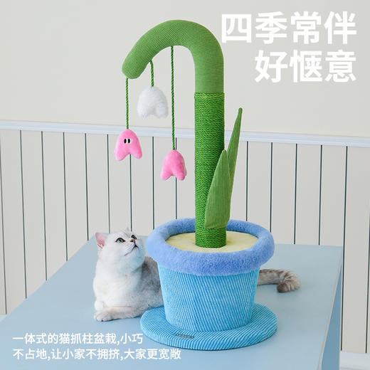 zeze铃兰盆栽抓柱-B（包邮） 商品图2