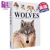 【中商原版】迷你百科系列 狼 Wolves 英文原版 Tom Jackson 自然科学 动物百科 科普与科学通识 科学百科 商品缩略图0