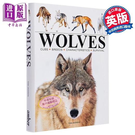 【中商原版】迷你百科系列 狼 Wolves 英文原版 Tom Jackson 自然科学 动物百科 科普与科学通识 科学百科 商品图0