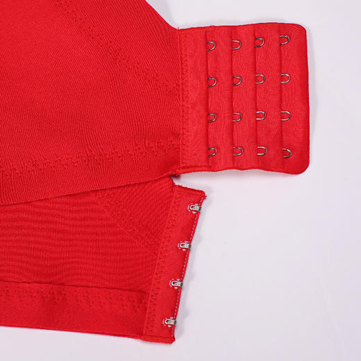 都市丽人调整型内衣舒软挺塑塑身文胸蕾丝A:加厚B:中厚塑身内衣3/4杯四排扣LJT4H3 商品图9