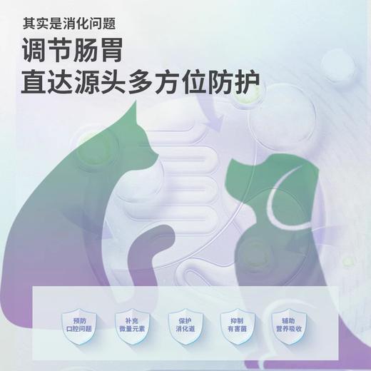 恩倍多冻干仙气口气魔方猫咪犬用清新除口臭猫狗狗调理肠胃牙菌斑 商品图3