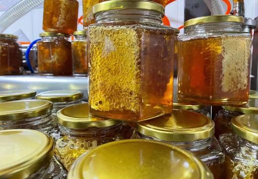 【雪康食品】蜂巢百花蜜500g/瓶 商品图4