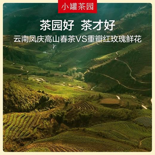 小罐茶园念享系列玫瑰红茶便携16袋装 送闺蜜伴手好礼茶叶礼盒装 商品图4