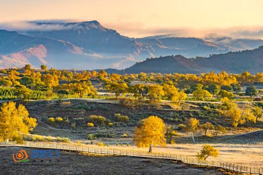 9月【坝上金秋画廊】穿越乌兰布统•金山岭长城7天风光摄影 商品图12