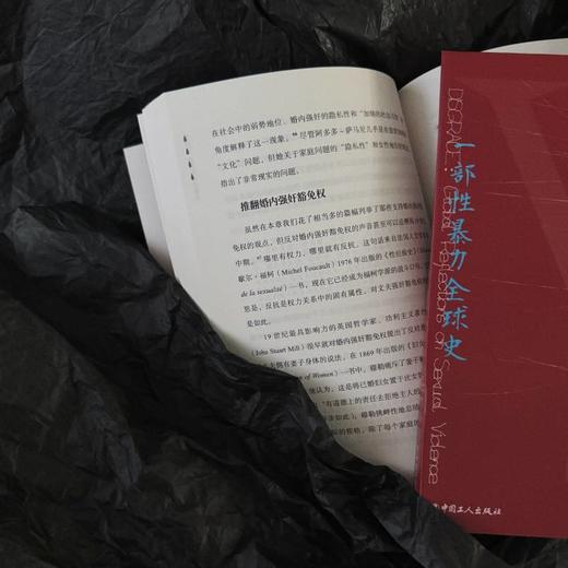 耻辱：一部性暴力全球史，一部充满同理心和信念的学术著作 商品图2