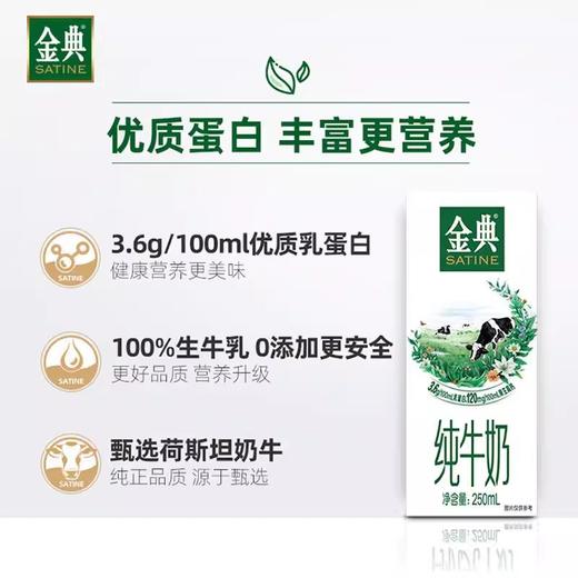 【太学府直播专享】金典纯牛奶250ml*12瓶/提 商品图1