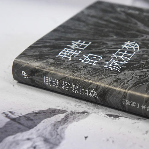 理性的疯狂梦 本哈明·拉巴图特全新力作，回顾人工智能发展的前世今生 商品图3