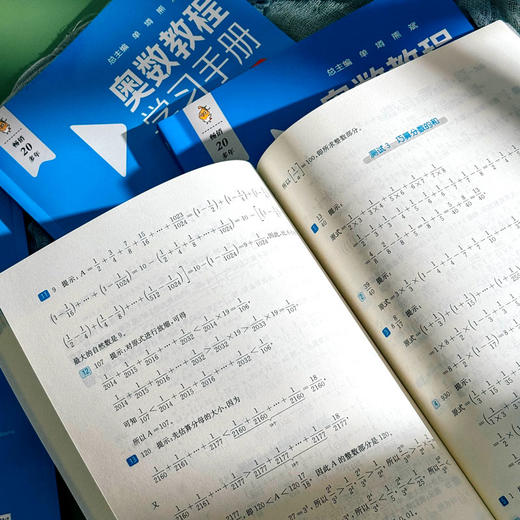 奥数教程+能力测试+学习手册 小学1-6年级 第8版 竞赛教辅 商品图10