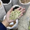 番泻叶 商品缩略图4