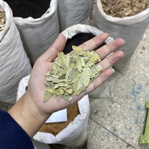 番泻叶 商品图4