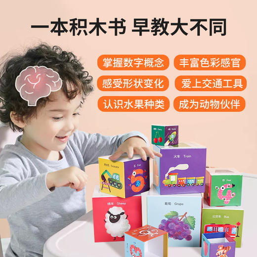 那么高！积木书·超好玩的启蒙认知书  0-3岁幼儿早教益智 商品图4