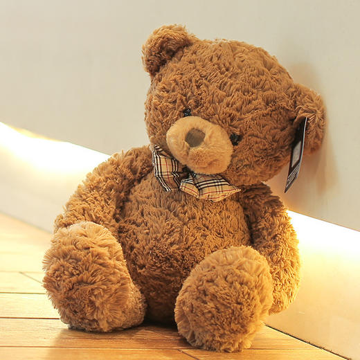 正版抱抱宝贝克莱尔小熊毛绒玩具泰迪熊公仔玩偶批发小熊公仔七夕圣诞情人节送女友礼物 商品图1