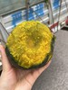 【武汉.黄陂】华希生态贝贝南瓜进口种源惠和一号（已糖化好）净重4.5-5斤（4-8个装） 商品缩略图3