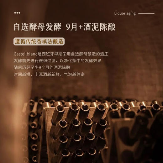 【卡瓦名家·荣誉出品】西班牙瑞雪CAVA天然半干型起泡酒 法定产区DO级 11.5%VOL 商品图5