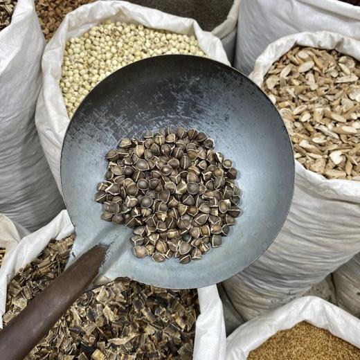 辣木籽 商品图1