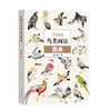 中国画鸟类画法图典 商品缩略图0