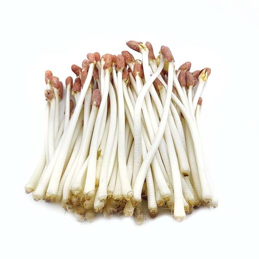 新鲜花生芽500g 商品图1