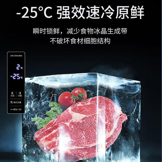 夏普双开门冰箱542升大容量 恒温精控 一级能效双变频 风冷无霜 对开 【542升 烟云灰】BCD-542WSBJ-H 商品图1