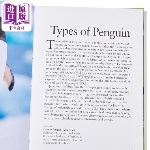 【中商原版】迷你百科系列 企鹅 Penguins 英文原版 Tom Jackson 科普与科学通识图书 科普读物 自然科学 商品图3