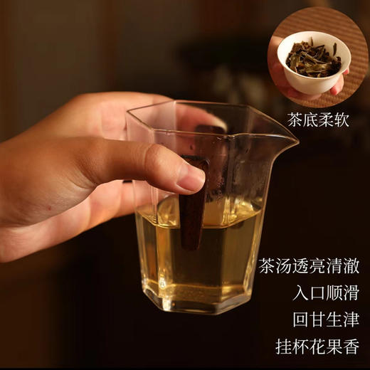 竹小茶丨布朗熟普2018年/勐宋生普2020年 龙珠 普洱熟茶/普洱生茶 60g（5g*12袋） 买2筒配手提袋 商品图7