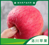 陕西洛川红富士苹果【GCDY】 商品缩略图2