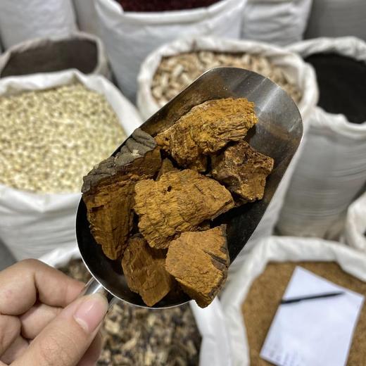 桑黄  1千克 商品图1