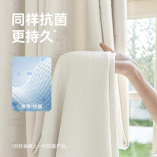 【贝加尔湖】金蝉高精密度提花高遮光隔音窗帘 商品图1