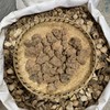 朱砂莲 商品缩略图2