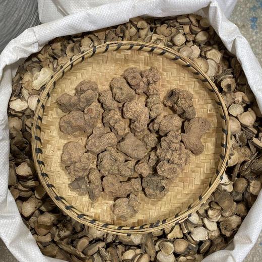 朱砂莲 商品图2