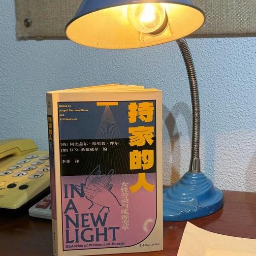 持家的人:女性劳动与能源变革 中国工人出版社 商品图0
